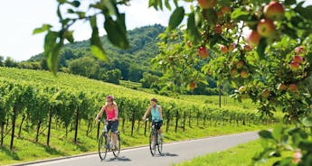 Moselle Cycle Route from Trier to Koblenz - 6 days