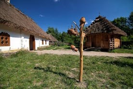 Excursão guiada ao Museu ao ar livre privado Mamaeva Sloboda