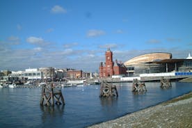 Cardiff City and Dr. Who Movie Private Day Tour from London