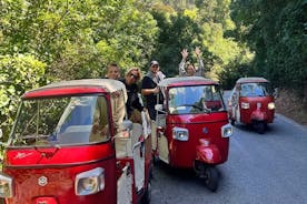 1 Hour Private Tuk-Tuk Tour in Sintra