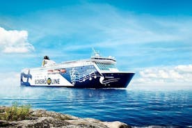 Visita guiada de Helsinki a Tallin con boletos de crucero de regreso