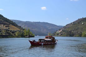 Douro Valley Tour met bezoek aan twee wijngaarden, riviercruise en lunch bij Winery