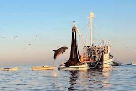 Private Sunrise Dolphins & Fishermen at Work boat tour in Rovinj