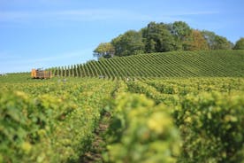 Visite complète des vins de la Rioja avec déjeuner de la visite privée de Saint-Sébastien
