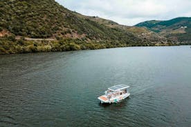 Pinhão: tour privado en barco solar - cata de vinos incluida