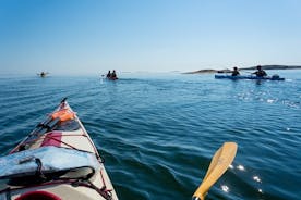 Excursão ao Arquipélago de Estocolmo de caiaque