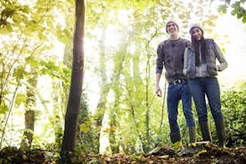 Tour privato di un'intera giornata nella Foresta Nera di Baden