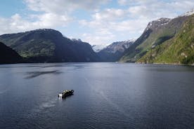 Hardangerfjord 및 Osafjord로 향하는 Ulvik RIB 모험 투어