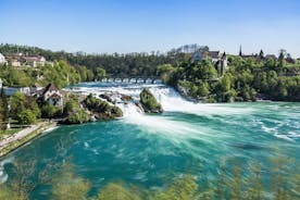 Chutes du Rhin (visite privée)