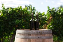 Viininvalmistusretket Italiassa