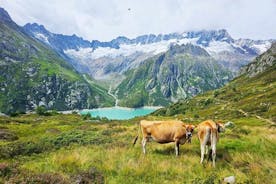 Koko päivän vaellus Sveitsin Alpeilla ja Luzernjärvellä noudon kera