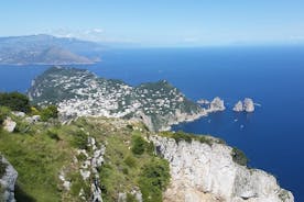 Excursion d'une journée à Capri et à Anacapri au départ de Sorrente