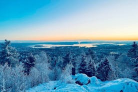 4 horas de vista de inverno do passeio a pé por Oslofjord