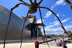 Full Day Private Sightseeing Tour in Bilbao