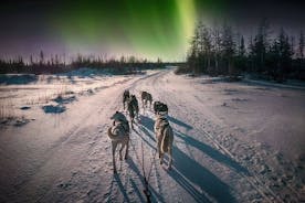 Excursão de trenó puxado por cães de 4 horas sob a aurora boreal