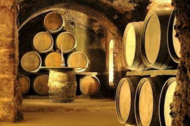 La Riojan ja Vitorian viinikierros viinitilavierailulla