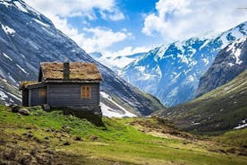 Tour autonomo del Sognefjord: da Bergen a Oslo