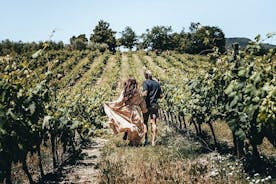Yksityinen viinikierros Provencessa asiantuntijan kanssa