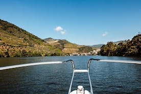 Crociera sul fiume Douro - Crociera fluviale privata - Pinhão 1 ora