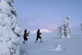 Pallas-Yllästunturi 国家公园的雪鞋健行
