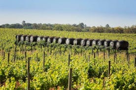 Tour privato di degustazione di vini di Lisbona nella regione di Setubal