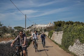 Passeio de bicicleta elétrica entre Martina Franca e Locorotondo