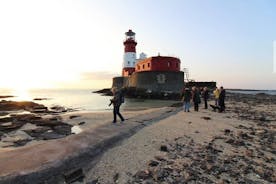Farne Islands Longstone Lighthouse 2-timmars resa från Seahouses