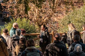 Magical Sintra Village Tour