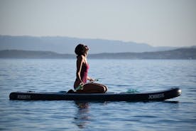 Stand Up Paddle With Dolphins