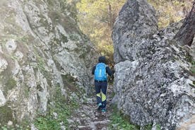 Hiking to the seven springs between olive groves and vegetation from Archangelos