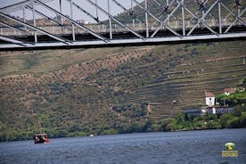 Passeio de 1 hora de Barco Rabelo no Pinhão