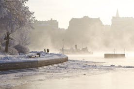 Visite d'hiver de Stockholm