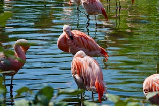 Zoo Basel