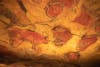 Cave of Altamira travel guide