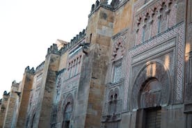 Moské-katedralen, synagogan och judiska kvarteren guidad tur