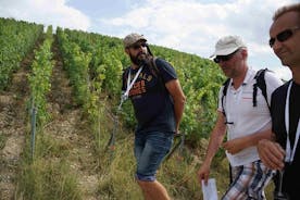 Wandeling in het hart van de wijngaarden met proeverij van champagne in de buurt van Epernay