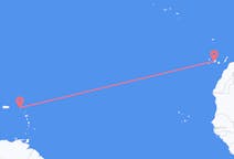 เที่ยวบินจาก Saint Martin (Island) ไปยัง เกาะเตเนริเฟ