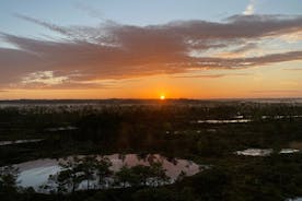 Reis naar Kemeri National Park & Jurmala vanuit Riga