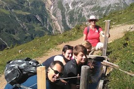 Caminata privada al corazón de los Alpes con transporte desde Lucerna