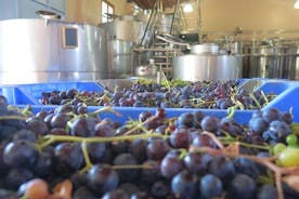 Vino Venture: Tutki paikallisen kanssa - Troodos-vuoret viinin kautta!