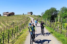 E-bike Tour in Valdobbiadene with Wine Tasting and Typical Food