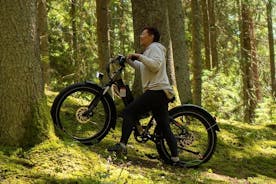 3-Hour Electric Fat Bike Rental