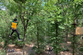 Accrobranches Kurs mitten im Wald in Saint-Germain-en-Laye