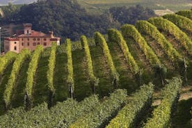 Excursión privada: cata de vinos piamontés de la región de Barolo