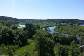 Dagsferð í Vilnius til Dzukija þjóðgarðsins, þar á meðal Grutas-garðurinn