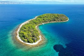 Halbtagestour mit dem Schnellboot: Entdecken Sie versteckte Schätze der Insel Hvar