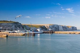 Trasferimento privato all'arrivo al porto dal terminal delle crociere di Dover a Londra