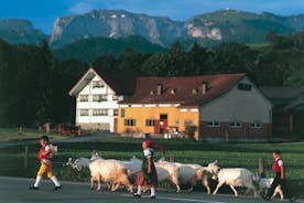 Schweizisk ost, chokolade og bjergtur for mindre gruppe med start i Zürich