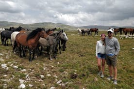 Safari de dia inteiro em quadriciclo e cavalos selvagens em Livno de Split