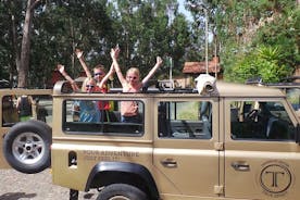 Private Half-Day 4X4 Tour: East or West